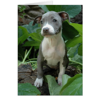 Cartão Eu sou verde-oliva