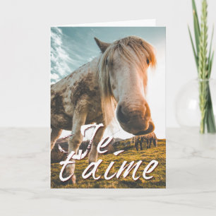 Cartão Eu te amo com cavalo olhado
