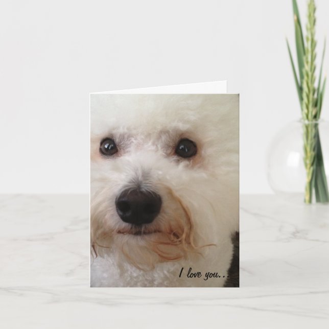 Cartão "Eu te amo… mais! " (Frente)