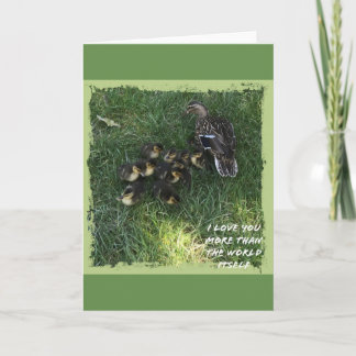 Cartão Eu te amo mais do que a carta do mundo