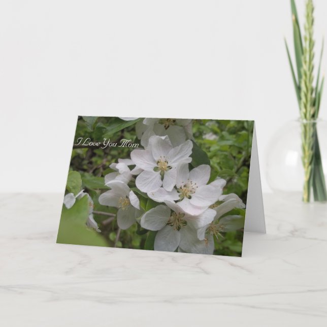 Cartão Eu te amo mamã (Frente)