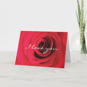 Cartão Eu te amo namorados rosa vermelha