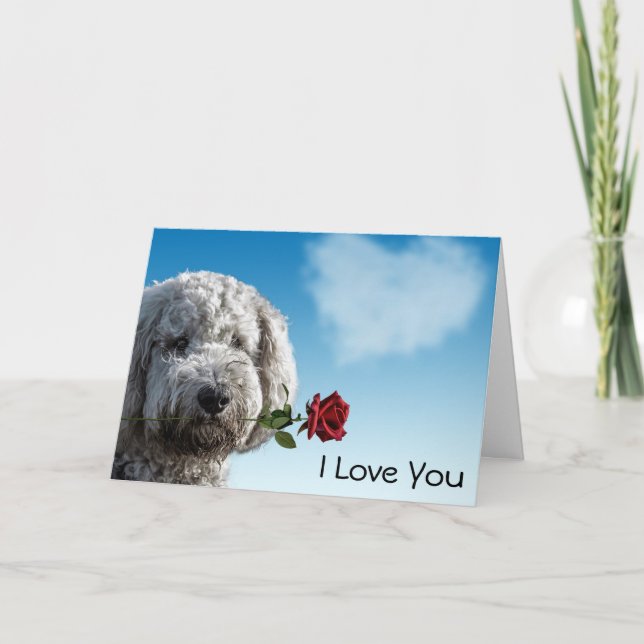 Cartão Eu Te Amo Rosa vermelha (Frente)