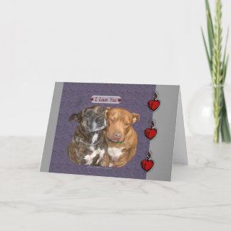 Cartão Eu te amo Staffys Snuggling