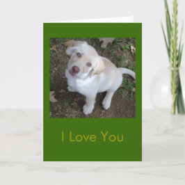Cartão Eu te amo - você é meu humano favorito