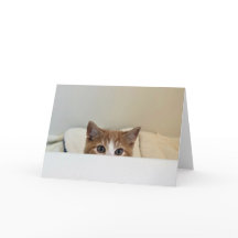 "Eu te vejo" - Louie espia