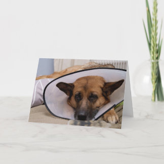 Cartão "Eu tenho que vestir este? "