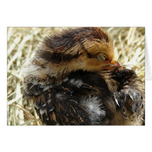 Cartão Eu tenho uma comichão