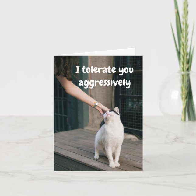 Cartão Eu Tolero Você Engraçado Do Gato (Frente)