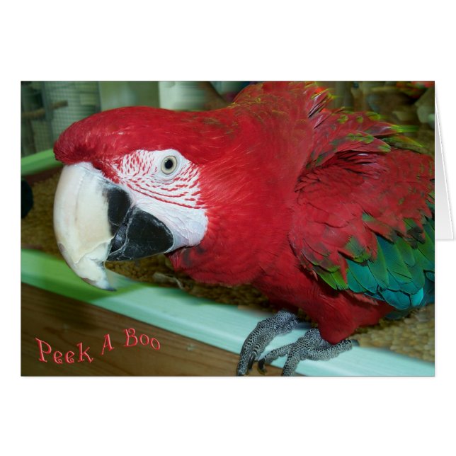 Cartão Eu ver o (Frente Horizontal)