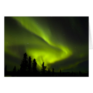 Cartão EUA, Alasca, Chena Hot Springs. Aurora Boreal 2