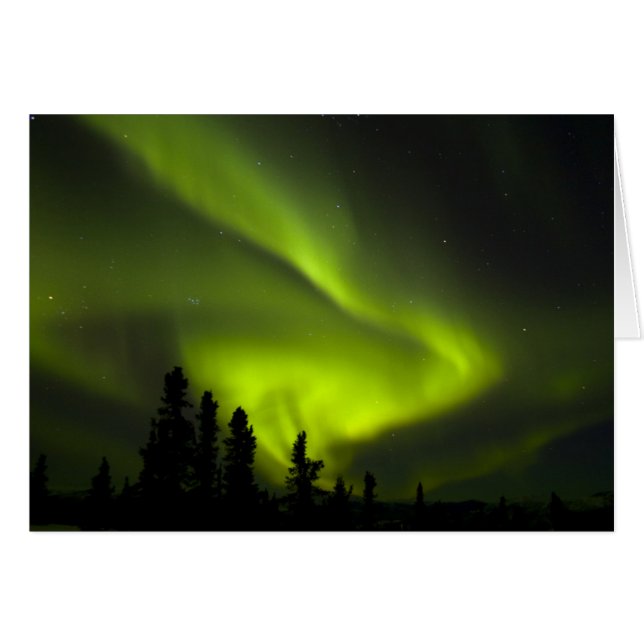 Cartão EUA, Alasca, Chena Hot Springs. Aurora Boreal 2 (Frente Horizontal)