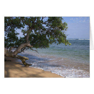 Cartão EUA, Havaí, Kauai, praia cênica. RF)