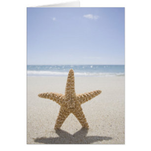 Cartão EUA, Massachusetts, Cape Cod, Nantucket, fim