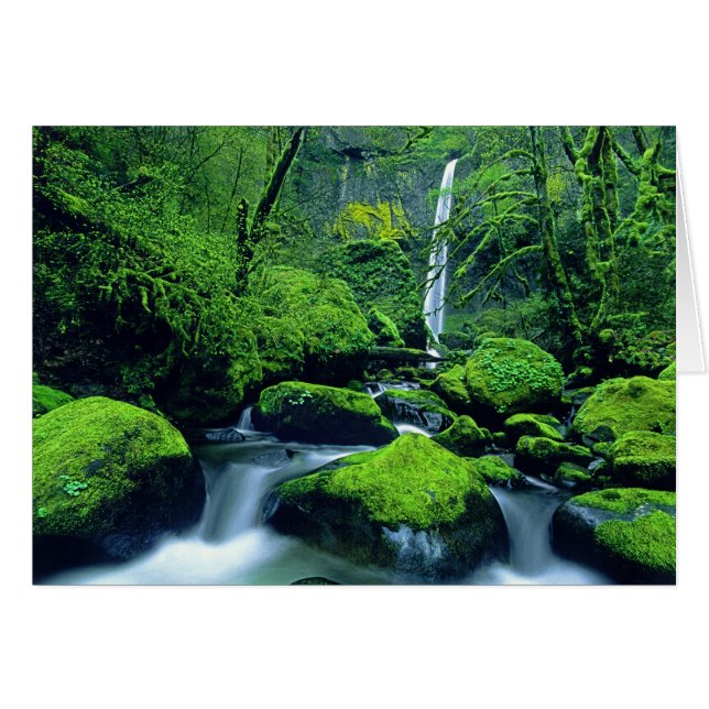 Cartão EUA, Oregon, Columbia River Gorge Nacional 2 (Frente Horizontal)