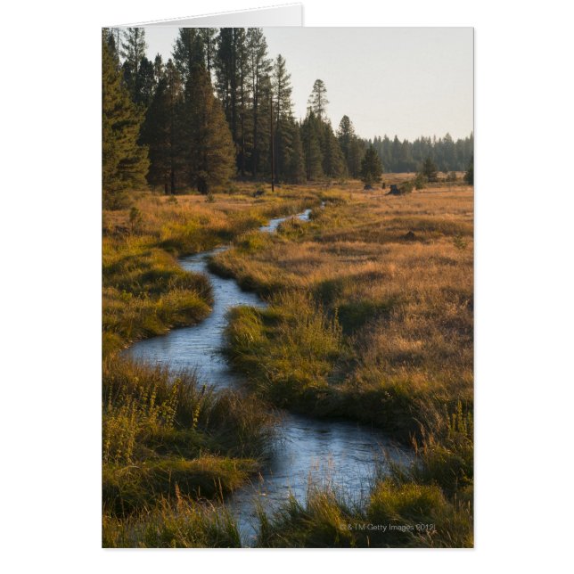 Cartão EUA, Oregon, Paulina Creek (Frente)