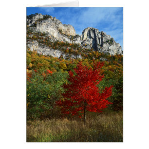 Cartão EUA, Virgínia Ocidental, Spruce Knob-Seneca Rocks
