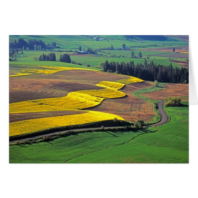 Cartão EUA, Washington, Palouse, Whitman County 2 (Frente Horizontal)