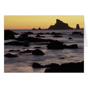 Cartão EUA, Washington, Parque Nacional Olímpico, Seastac