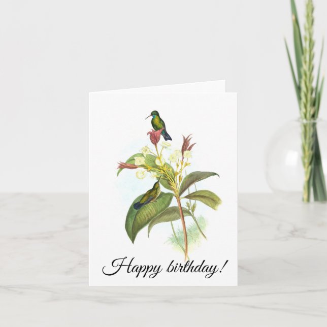 Cartão Eucephala caerulea (Espião-de-Cama-Azul) (Frente)