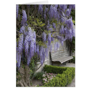 Cartão Europa, Áustria, Salzburg Stadt, Salzburgo,