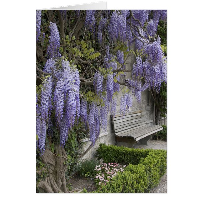 Cartão Europa, Áustria, Salzburg Stadt, Salzburgo, (Frente)