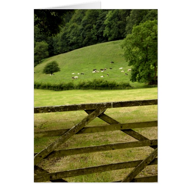 Cartão Europa, Inglaterra, Lake District, Cumbria, (Frente)