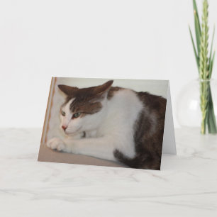 Cartão Even a Good Cat can have a Bad Day!