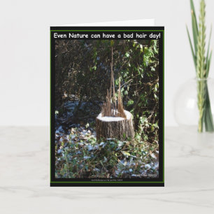 Cartão Even Nature Can Have A Bad Hair Day! Gifts Apparel