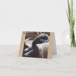 Cartão Everyday Cards/ Grace & Glory