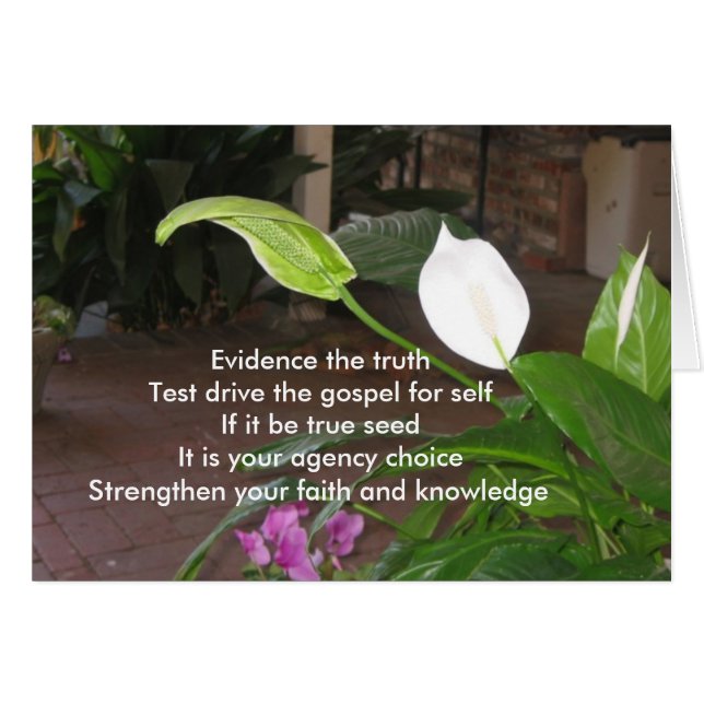 Cartão Evidencie a verdade (Frente Horizontal)