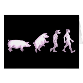 Cartão Evolução dos porcos