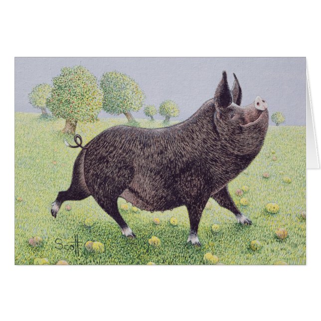 Cartão Excelente do sentimento (Frente Horizontal)