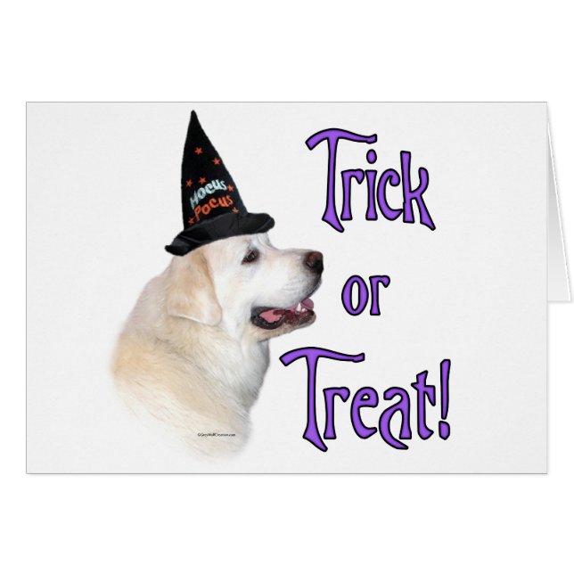 Cartão Excelente Pirenéus Trick (Frente Horizontal)