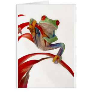 Cartão Exercicio de equilibrio