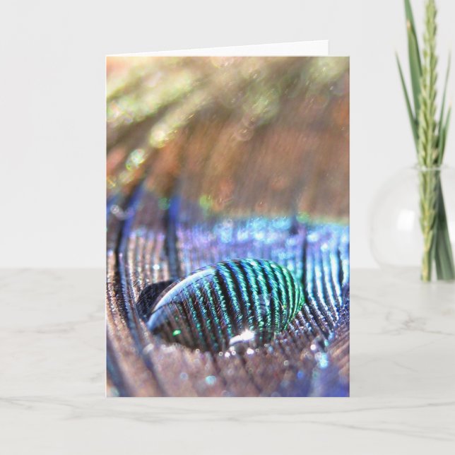 Cartão expor (Frente)