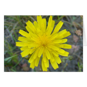 Cartão F16 Amarelo Rei da Flor