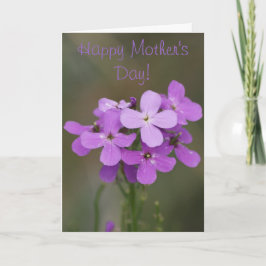 Cartão F19 Flores Roxas Dames Rocket