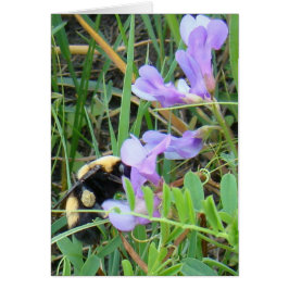 Cartão F2 Abelhas em Flores Selvagens Roxas