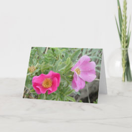 Cartão F4 Rosas selvagens