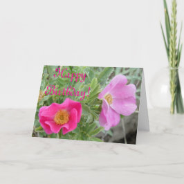 Cartão F4 Rosas Silvestres