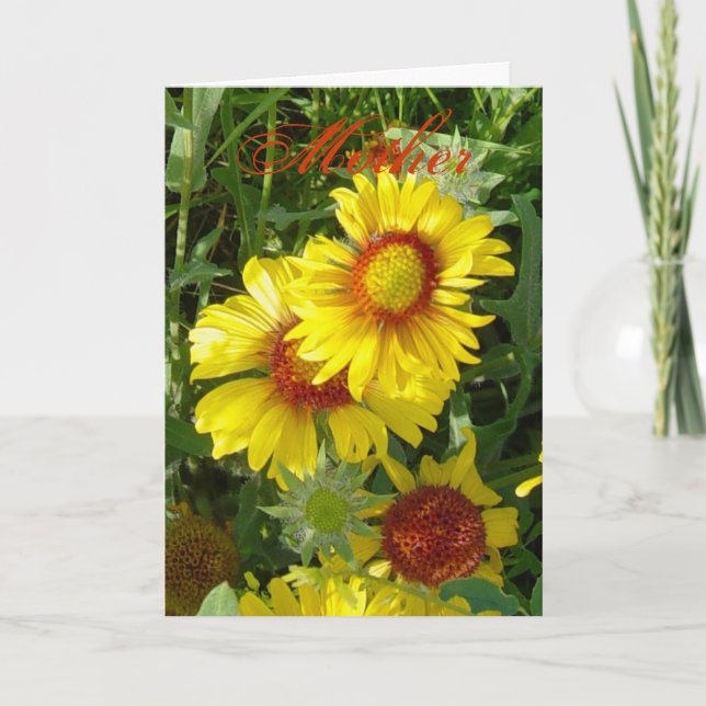 Cartão F6 Flores Amarelas Gaillardia (Frente)