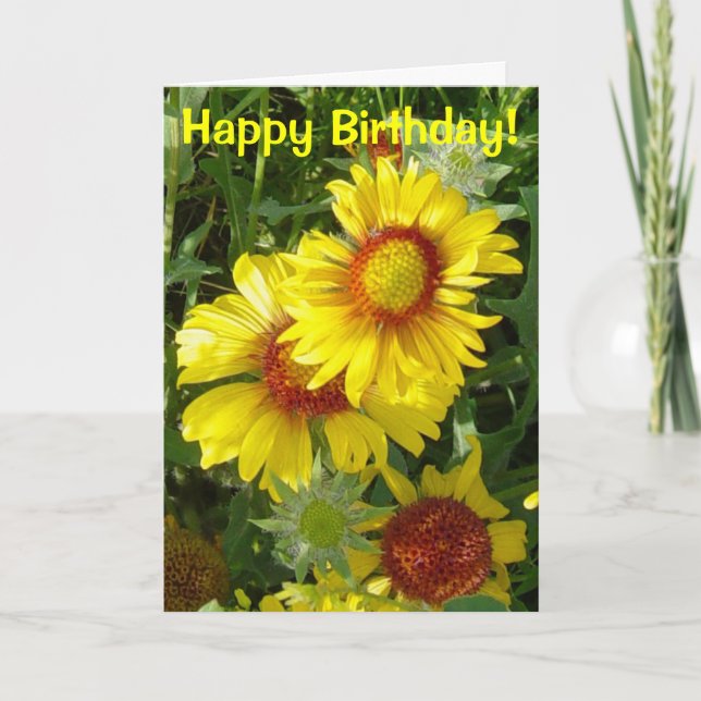 Cartão F6 Flores Silvestres Amarelas Gaillardia (Frente)