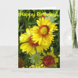 Cartão F6 Flores Silvestres Amarelas Gaillardia