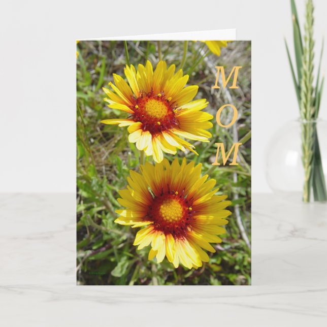 Cartão F8 Flores Amarelas Gaillardia (Frente)