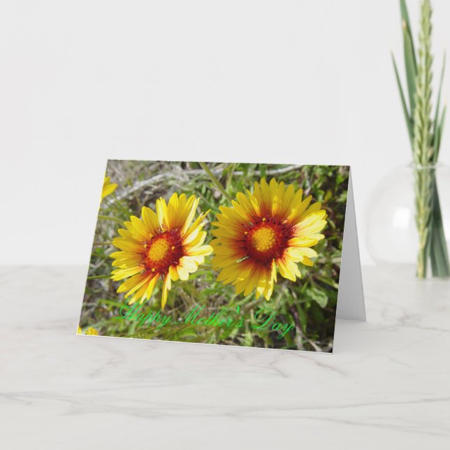 Cartão F8 Flores Amarelas Gaillardia (Frente)