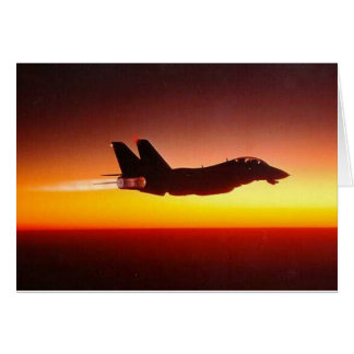 CARTÃO F-14 TOMCAT EM SEGUIDA