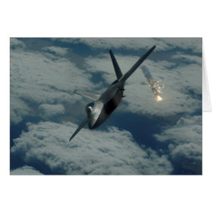 CARTÃO F-22