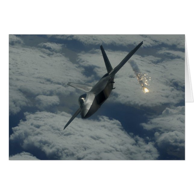 CARTÃO F-22 (Frente Horizontal)