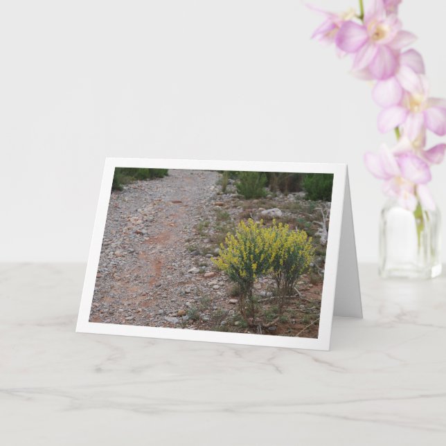 Cartão Fabale Planta, Anthyllis Cytisoides (Orquídea)